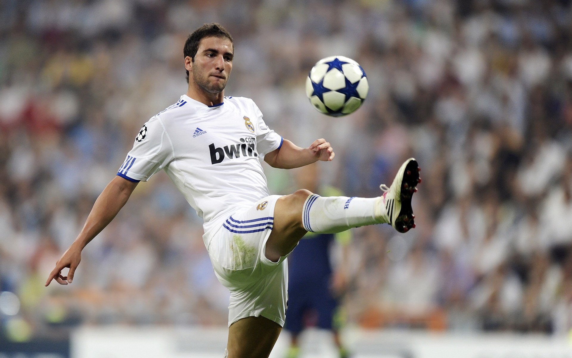 “青训基地正式开工建设，未来专业训练中心崭露头角”，青训营全称